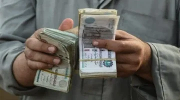 بشري سارة للمستفيدين.. موعد صرف معاش تكافل وكرامة لشهر يناير 2026 الأساسي